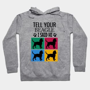 Tell your beagle I said hi Hoodie